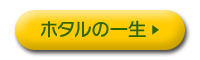 ホタルの一生