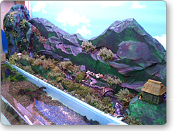 アクアテラリウム用オリジナル水槽