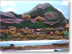 アクアテラリウム用オリジナル水槽