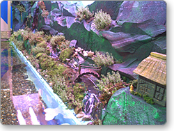 アクアテラリウム用オリジナル水槽