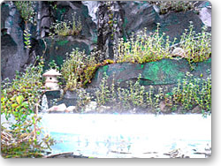 アクアテラリウム用オリジナル水槽