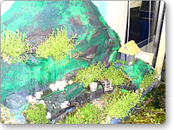 アクアテラリウム用オリジナル水槽