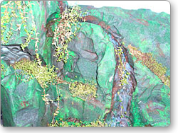 アクアテラリウム用オリジナル水槽